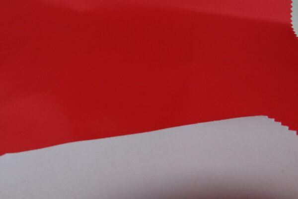 Durable 220gsm Nylon Taffeta for Your Luggage