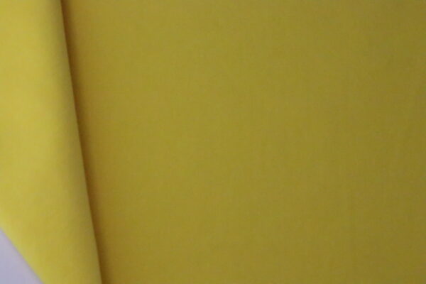 Explore the Comfort of Our Single Jersey Fabric